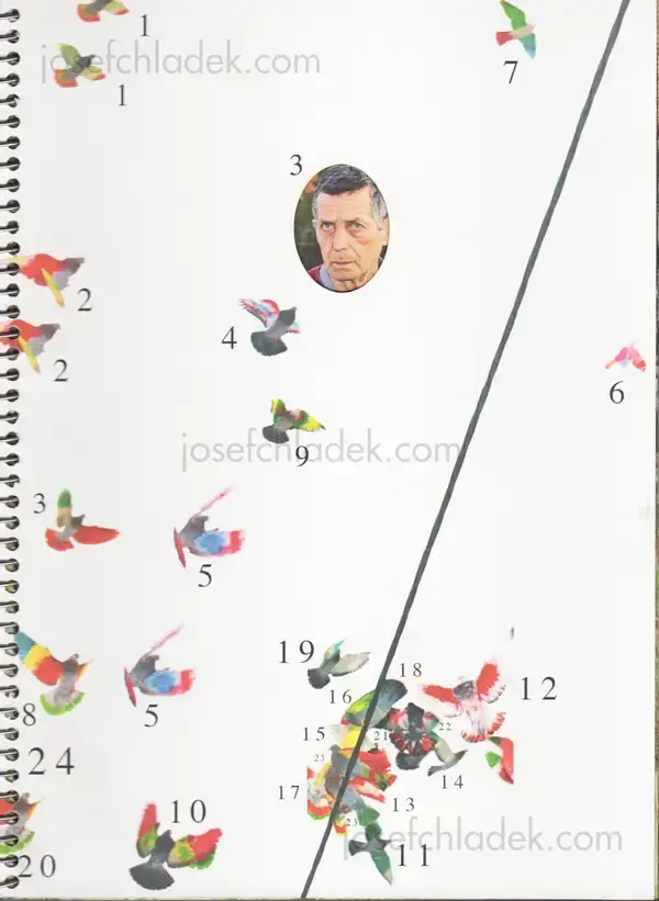 Cover of Ricardo Cases - Paloma al Aire