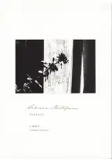 Takehiko Nakafuji - Hokkaido: Sakuan, Matapaan