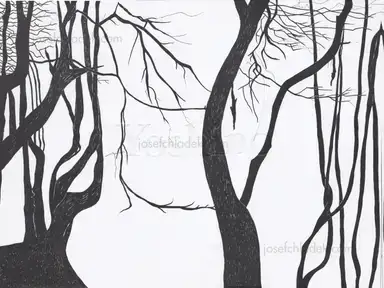 Cuny Janssen - Yoshino Cuny Janssen - Yoshino