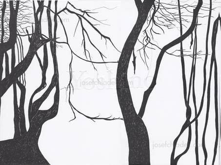  Cuny Janssen - Yoshino ((c) jc)