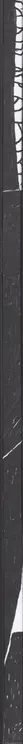 Book spine: Cuny Janssen - Yoshino