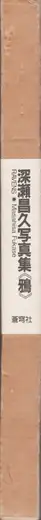 Book spine: Masahisa Fukase - Karasu (Ravens 深瀬昌久 鴉) 