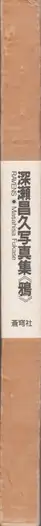 Book spine: Masahisa Fukase - Karasu (Ravens 深瀬昌久 鴉) 