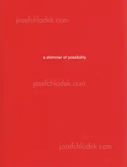 Cover of Paul Graham - a shimmer of possibility