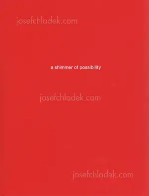 Cover of Paul Graham - a shimmer of possibility