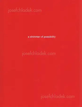 Cover of Paul Graham - a shimmer of possibility