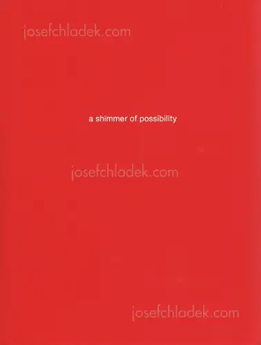 Cover of Paul Graham - a shimmer of possibility