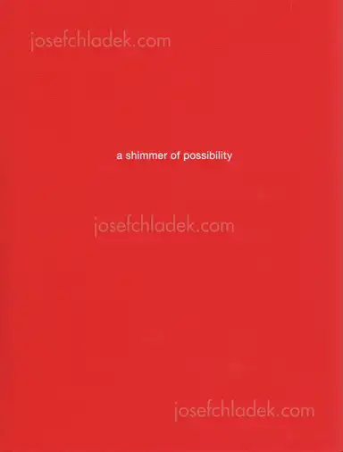 Paul Graham - a shimmer of possibility Paul Graham - a shimmer of possibility
