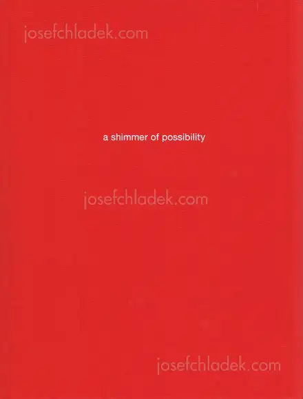 Cover of Paul Graham - a shimmer of possibility