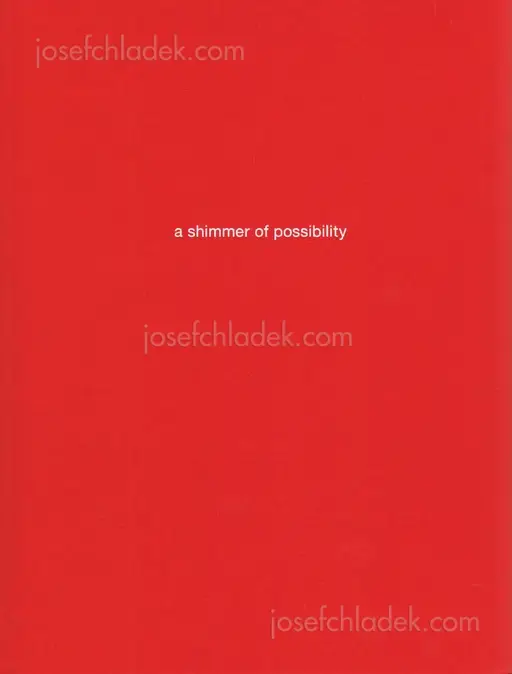 Cover of Paul Graham - a shimmer of possibility