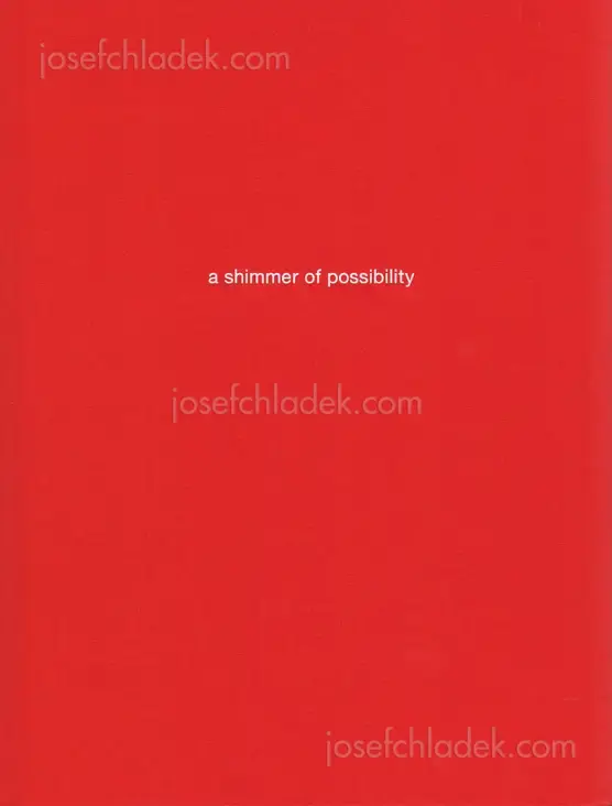 Cover of Paul Graham - a shimmer of possibility