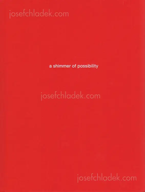 Cover of Paul Graham - a shimmer of possibility