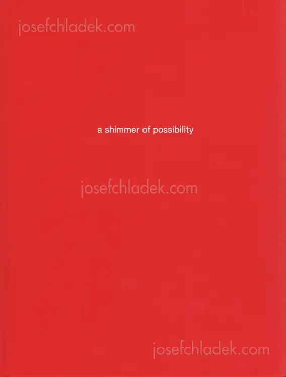 Cover of Paul Graham - a shimmer of possibility