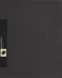 Takehiko Nakafuji - Enter the mirror