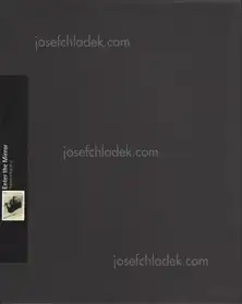 Takehiko Nakafuji - Enter the mirror