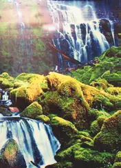 Cover of Max Pinckers - The Fourth Wall