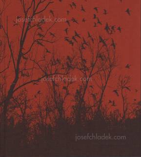  Vanessa  Winship - she dances on Jackson (Front)