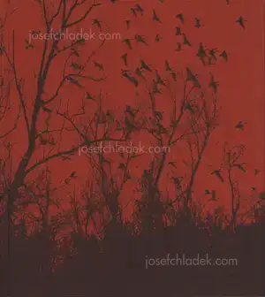 Cover of Vanessa Winship - she dances on Jackson