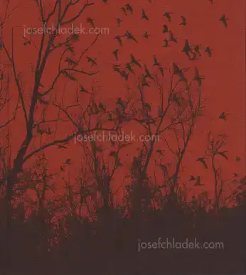 Cover of Vanessa Winship - She dances on Jackson