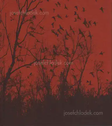 Vanessa Winship - she dances on Jackson Vanessa Winship - she dances on Jackson