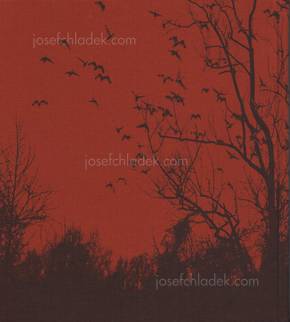  Vanessa  Winship - she dances on Jackson (Back)