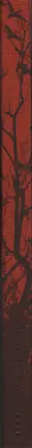 Book spine: Vanessa Winship - She dances on Jackson