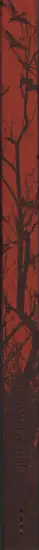 Book spine: Vanessa Winship - She dances on Jackson