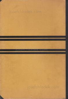  Erich Mendelsohn - Amerika: Bilderbuch eines Architekten...