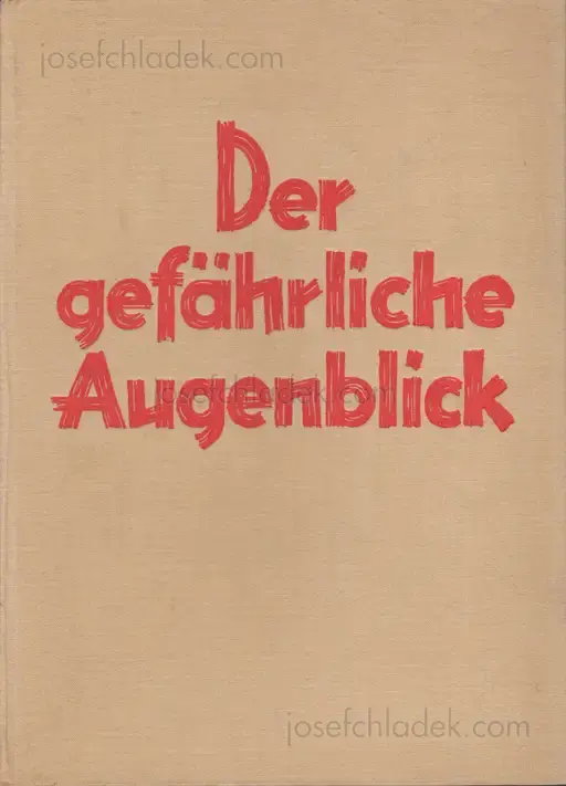 Cover of Ferdinand (Hg.) Bucholtz - Der gefährliche Augenblick