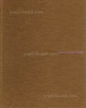 Cover of Paul Graham - The Present