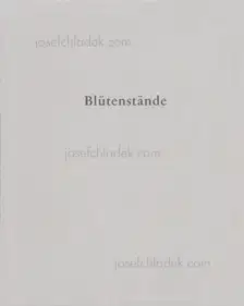 Annabelle Fürstenau - Blütenstände     