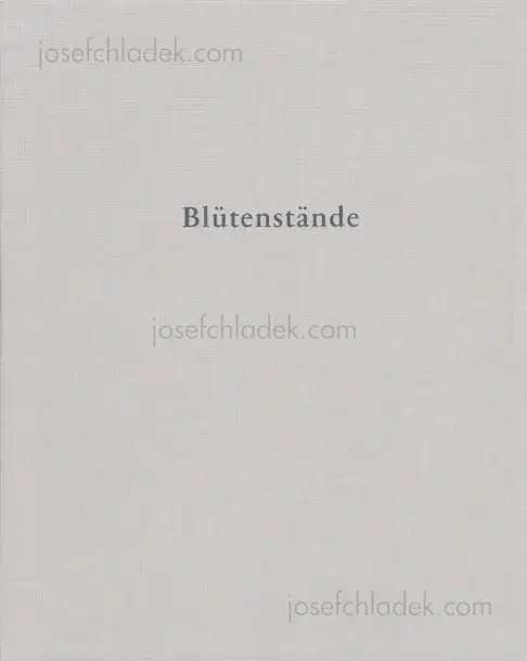 Cover of Annabelle Fürstenau - Blütenstände     