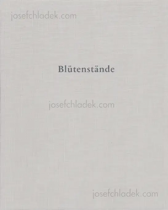 Cover of Annabelle Fürstenau - Blütenstände     