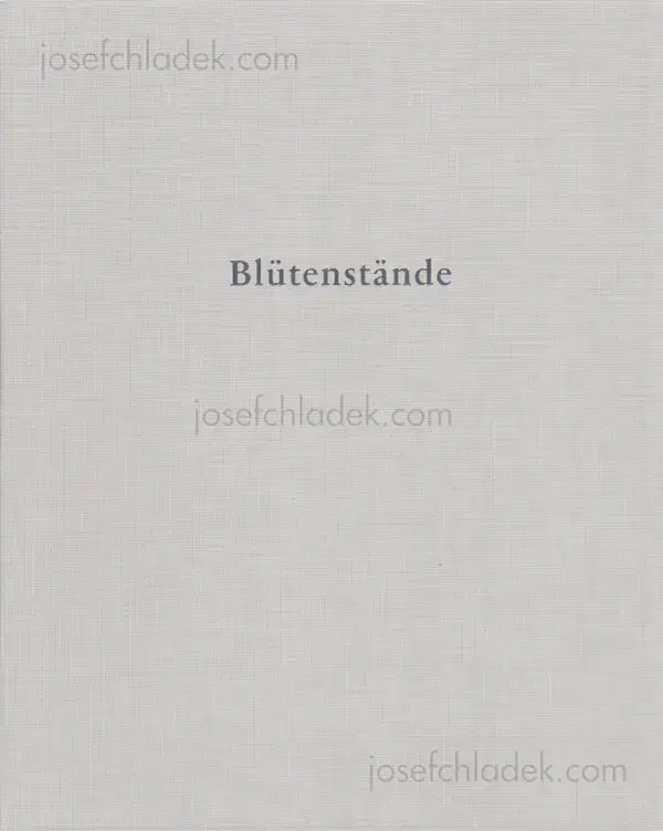 Cover of Annabelle Fürstenau - Blütenstände     