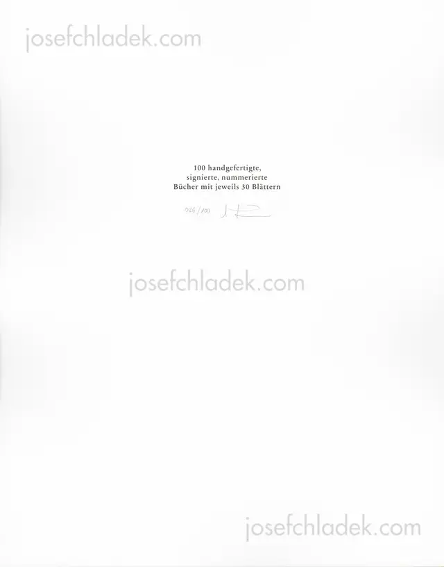 Book spine: Annabelle Fürstenau - Blütenstände     