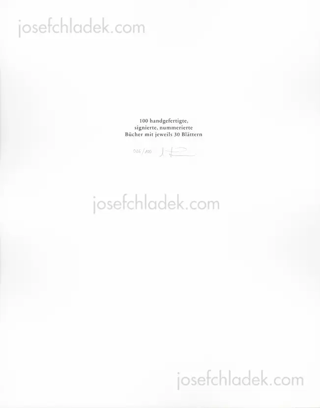 Annabelle Fürstenau - Blütenstände     