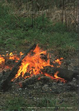  Takuma Nakahira - Degree Zero Yokohama (Back)