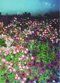 Ekaterina Anokhina - 25 Weeks of Winter