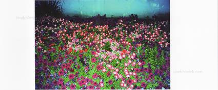  Ekaterina Anokhina - 25 Weeks of Winter (Dustjacket)