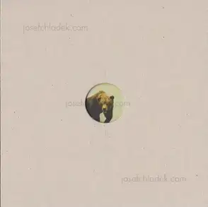 Cover of Klaus Pichler - Skeletons in the Closet