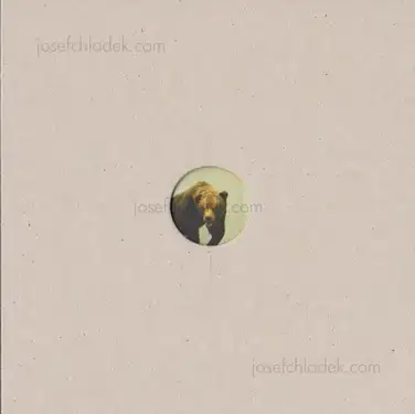 Cover of Klaus Pichler - Skeletons in the Closet