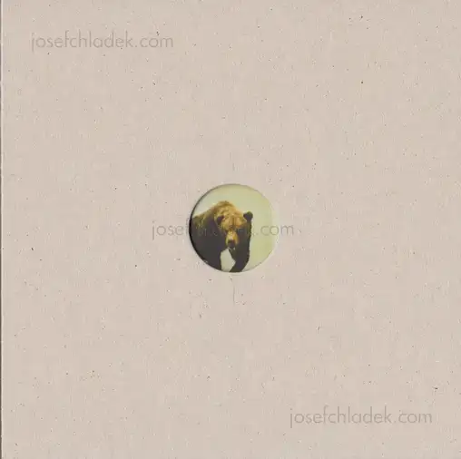 Cover of Klaus Pichler - Skeletons in the Closet