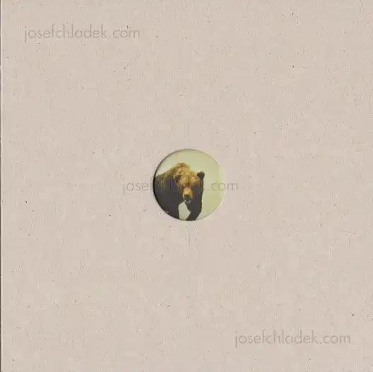 Cover of Klaus Pichler - Skeletons in the Closet