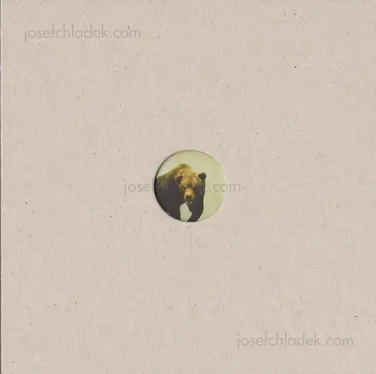 Cover of Klaus Pichler - Skeletons in the Closet