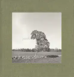 Gerry Johansson - Öglunda