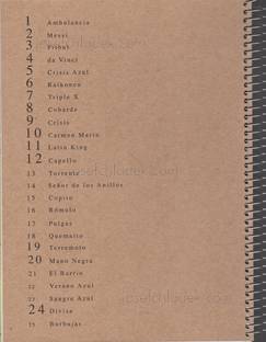  Ricardo Cases Paloma al Aire