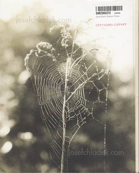  Melissa Catanese - Dive Dark Dream Slow (Back)