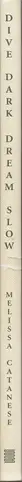 Book spine: Melissa Catanese - Dive Dark Dream Slow