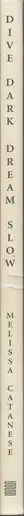 Book spine: Melissa Catanese - Dive Dark Dream Slow