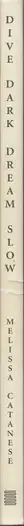 Book spine: Melissa Catanese - Dive Dark Dream Slow